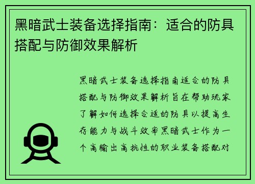 黑暗武士装备选择指南：适合的防具搭配与防御效果解析